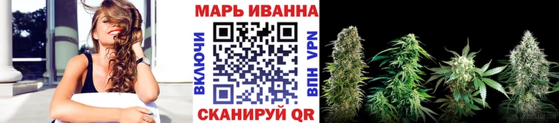 где продают наркотики  Ленинградская  Бошки Шишки гибрид 
